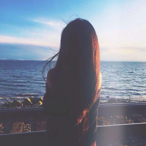 情到深处无怨尤,“情到深处无怨尤”的出处？