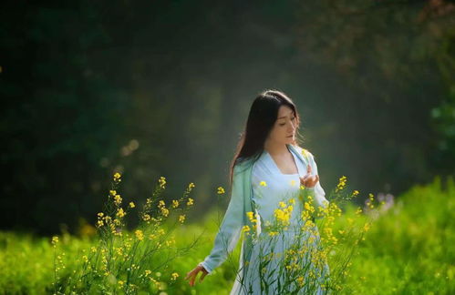 情愫是什么意思,情愫是什么意思