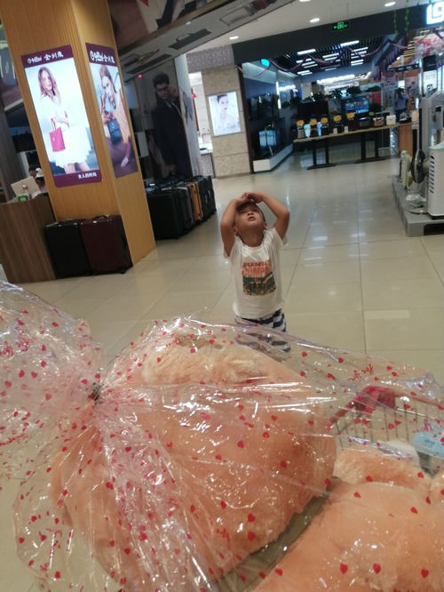 情趣与兴趣,情趣和兴趣的分别是什么意思