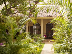 芒果街上的小屋,芒果街上的小屋主要内容是啥？简单些