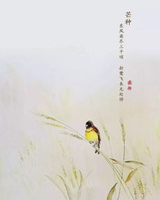 芒种小诗,用一首小诗描绘秋天的田野