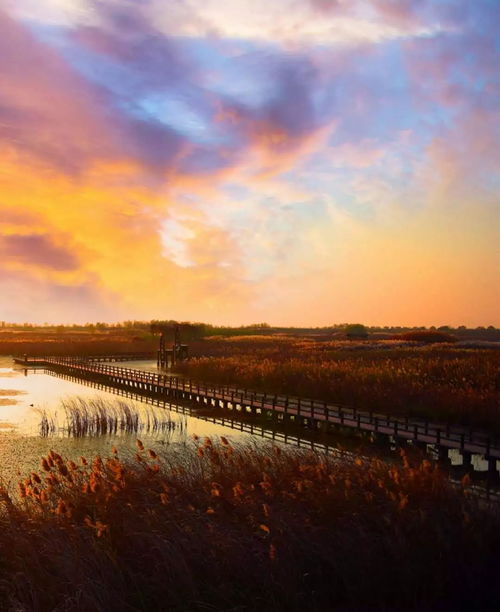 芦花丛里一扁舟,吴用给卢俊义写的诗是什么