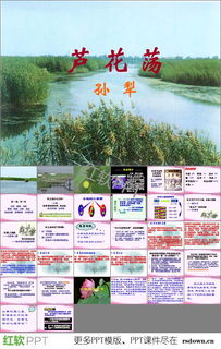 芦花荡课后题,八年级上册语文书第二课《芦花荡》课后练习题目是什么只要题目就行了!