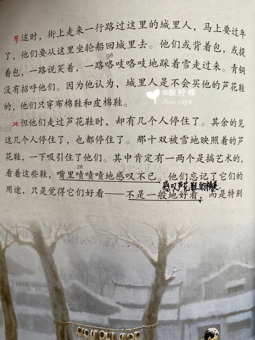 芦花鞋,芦花鞋是什么