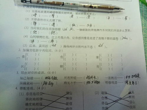 苗加偏旁组成新字,苗能加什么偏旁