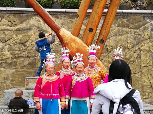 苗族简介,苗族的简介