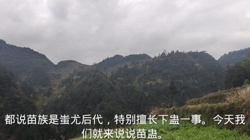 苗疆,苗疆是指现在的哪里