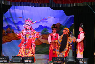 莆仙戏,莆仙戏的意思莆仙戏的意思是什么