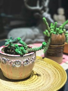 莫笑农家腊酒浑,”莫笑农家猎酒浑”是哪首诗？全句是什么？