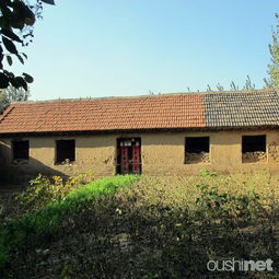 莫言旧居,高密莫言旧居地址