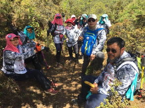莽莽榛榛,莽莽榛榛是什么意思