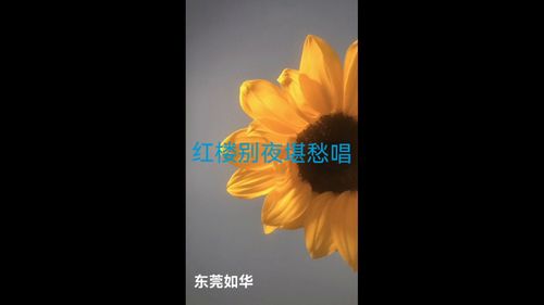 菩萨蛮韦庄,韦庄《菩萨蛮》全诗：画船听雨眠。