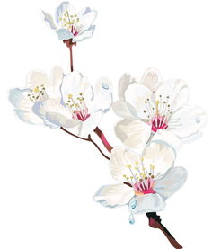 萋萋芳草忆王孙,《忆王孙》的古诗全文是什么？