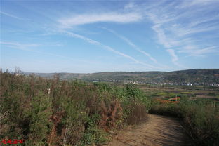 萋萋芳草春绿,萋萋芳草春绿落落长松夏寒、“夏寒”怎么理解