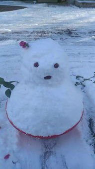 萍水相逢什么意思,萍水相逢的意思