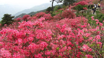 落花不是无情物,落花不是无情物，化作春泥更护花。整首诗是什么