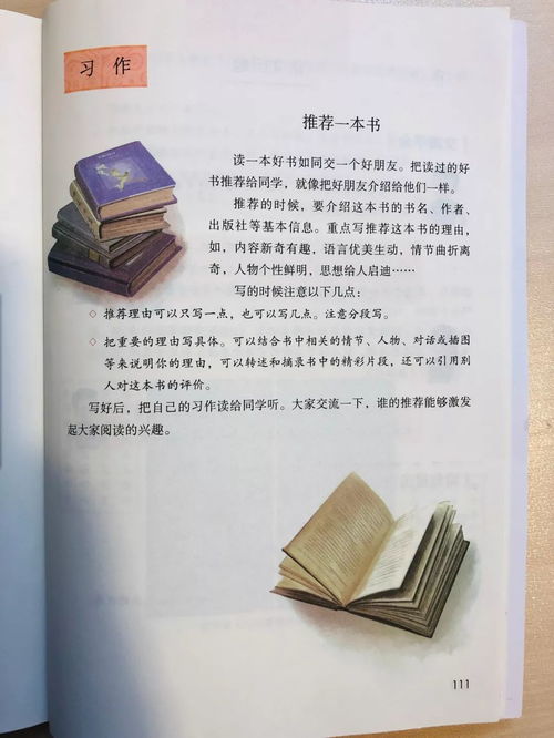 落花生小练笔,落花生小练笔怎么写