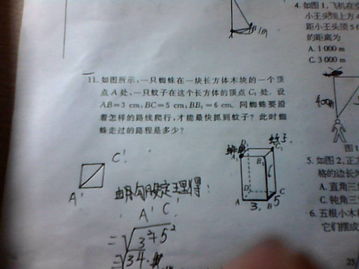 蚂蚁怎样走最近,蚂蚁怎样走最近 教学设计 优质课