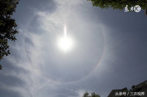 蚯蚓往上爬,俗语“蚯蚓往上爬，雨水乱如麻”是什么现