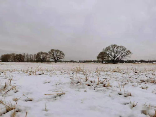 那一场风花雪月的事,《那一场风花雪月的事》的歌词