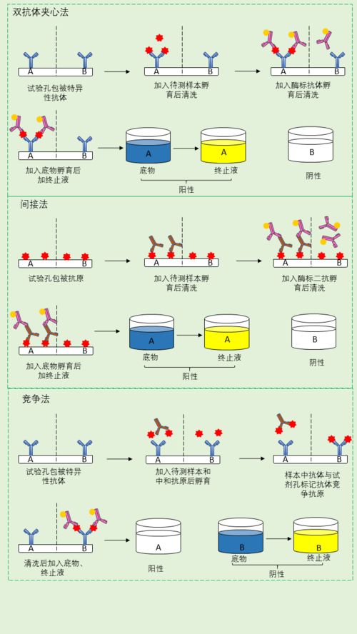 酶联免疫吸附测定,什么是酶联免疫吸附法？