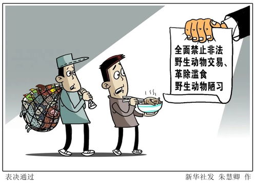 陋习,陋习是什么意思