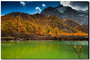 难忘的风景,难忘的风景话题作文