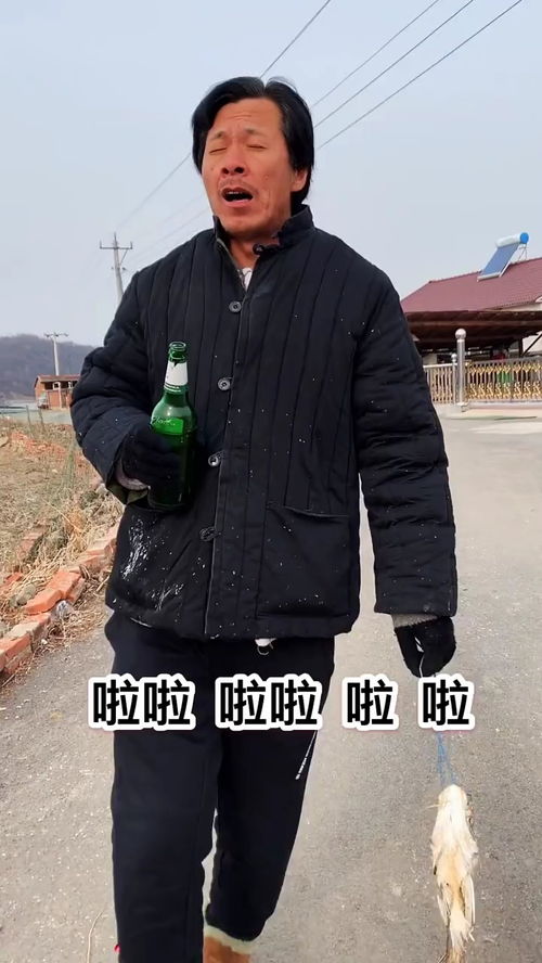 青春青春你别走了,青春青春你别走了是什么歌