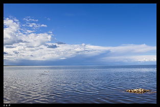 青海湖梦幻般的湖,《青海湖，梦幻般的湖》中画横线的五个句子哪些是静态描写？哪些是动态描写？快点!