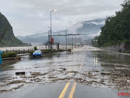 青衣江雅安段现百年一遇洪水,2020现在乐山大佛还能去吗四川洪水最新消息