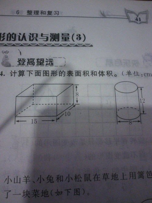 面积,面积的概念是什么