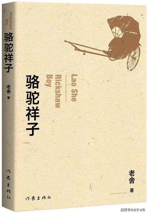 骆驼祥子读后感600字初中,求骆驼祥子读后感600字作文