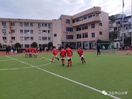 龙港四小,龙港四小对应的初中